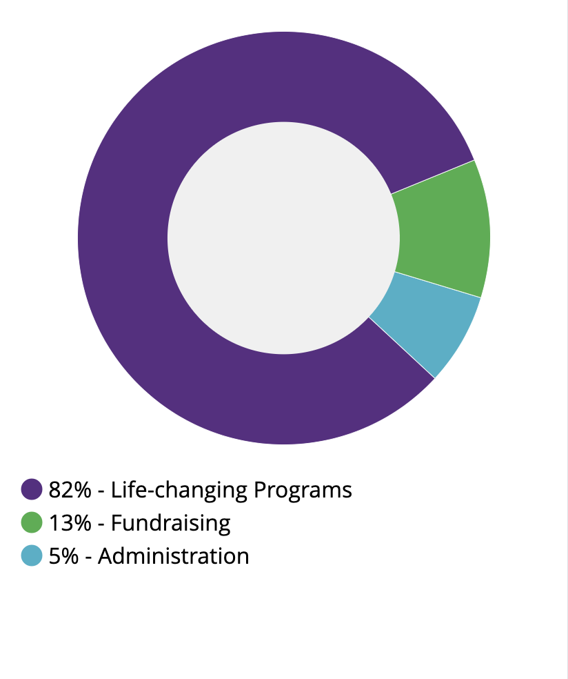 financial pie chart