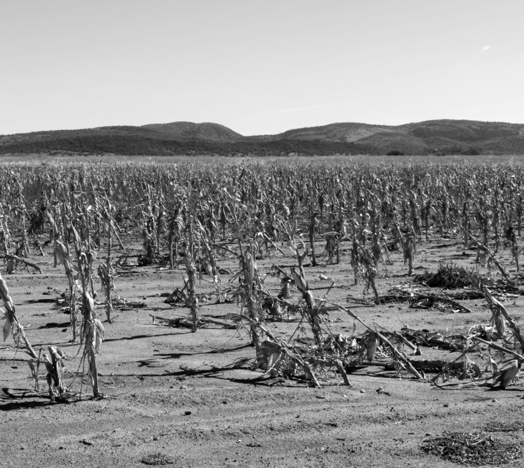 SG Southern Africa Hunger Emergency-Desktop-Drought